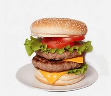 Double cheese burger