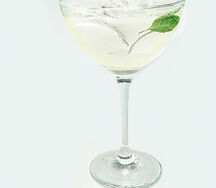 Аперитив Martini Bianco