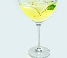 Martini Bianco & Tonic