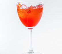 Аперитив Martini Fiero