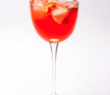 Martini Fiero & Tonic