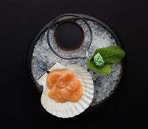 Морской гребешок