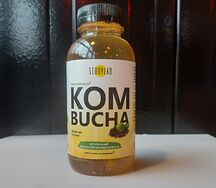 Напиток Kombucha