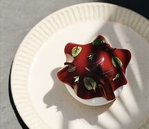 Павлова вишня