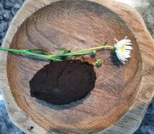 Пирожное Картошка