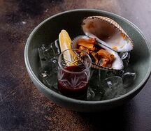 Молюск Анадара