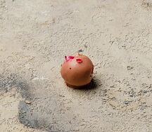 Трюфель руби с розой