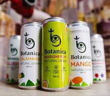 Лимонад Botanica