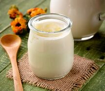 Мацун домашний