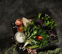 Свежая зелень