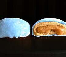 Моти Баунти