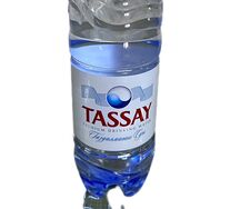 Tassay