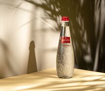 Минеральная вода без газа Mever