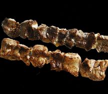 Шашлык любовников