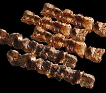 Сет на огне