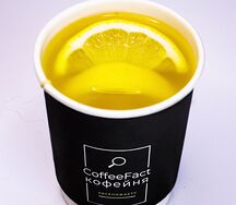 Чай Облепиховый с медом Premium