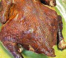 Цыпленок домашний