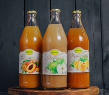 Сок домашний Могох