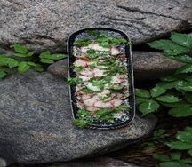 Севиче из осьминога