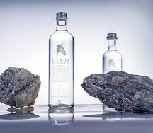 Вода Даусуз негазированная