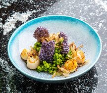 Зеленый птитим с гребешками