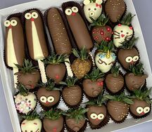 Набор Зоопарк