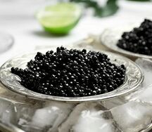 Икра палтуса чёрная