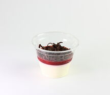 Панакота с клубникой