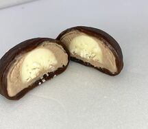 Моти Баунти