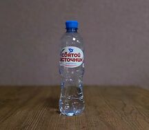 Святой источник негазированная