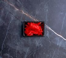 Маринованный имбирь ( розовый)