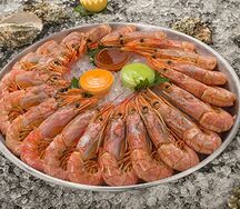Плато лангустины