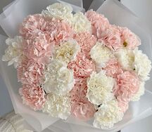 Букет из 25 диантусов 