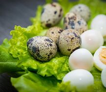 Oeuf de caille