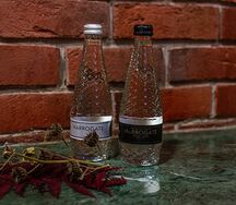 Минеральная вода The Voda