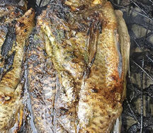 Poisson braisé au feu de bois