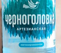 Вода питьевая Черноголовка без газа