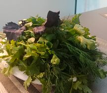Свежая зелень