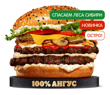 Острый Ангус Сибирский Двойной