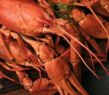 Вареный рак (отборный)