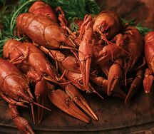 Вареный рак (средне-крупный)