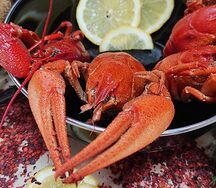 Раки вареные в ароматном бульоне отборные (10-14 шт. в кг.)