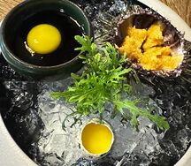 Ёж морской Мурманский