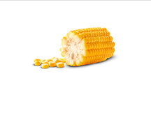 Вареная кукуруза (половина початка)