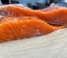 Форель морская слабой соли