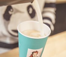 PinUp L