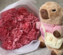 Комбо Диантусы и капибара 