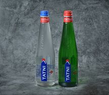 Вода Татни Газированная