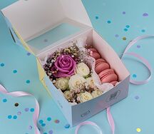 Набор макаронс Аваланж с гипсофилой