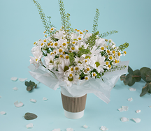 Букет цветов Ромашковое поле в стаканчике